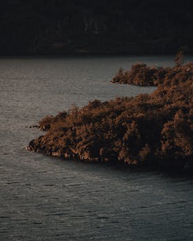 Imagem após o segundo parágrafo