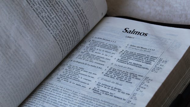 Imagem após o segundo parágrafo